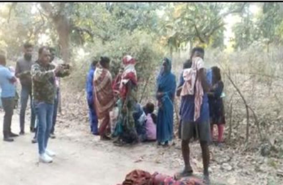 कलेक्टर रवि मित्तल ने अपर कलेक्टर की अध्यक्षता में जांच समिति का किया गठन |