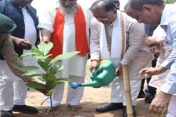 छत्तीसगढ़ में ‘एक पेड़ मां के नाम’ बना पर्यावरण संरक्षण का भावनात्मक आंदोलन…